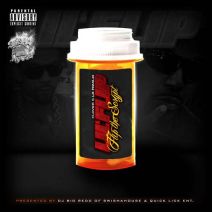 Lil Flip (Presented By DJ Big Redd of Swishahouse) - Flip The Scrypt